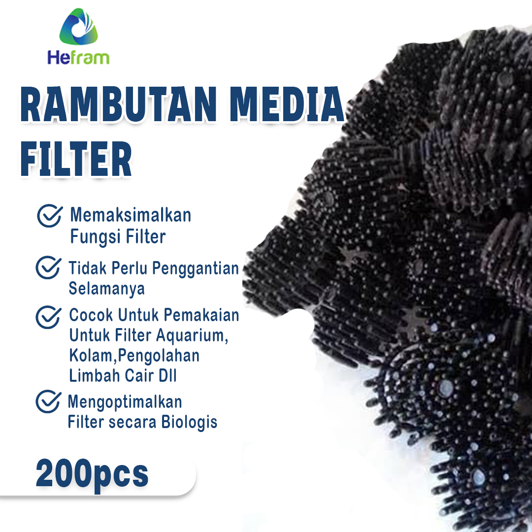 Rambutan filter