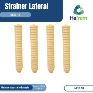 Lateral Strainer