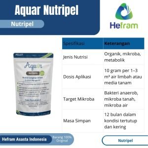 Nutrisi Untuk Tanaman