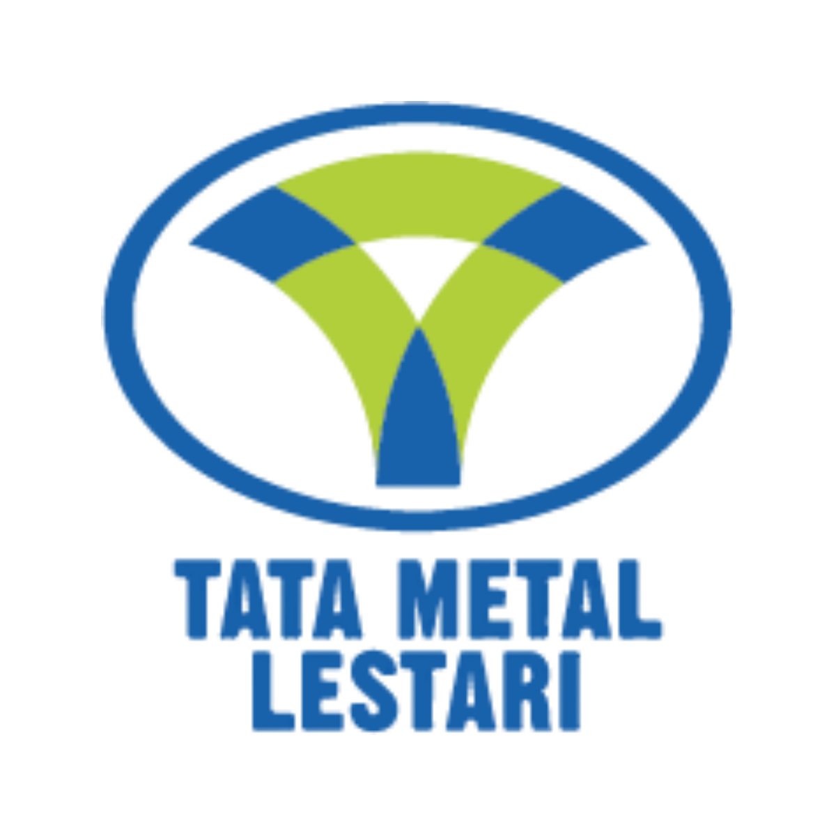 PT tata metal lestari