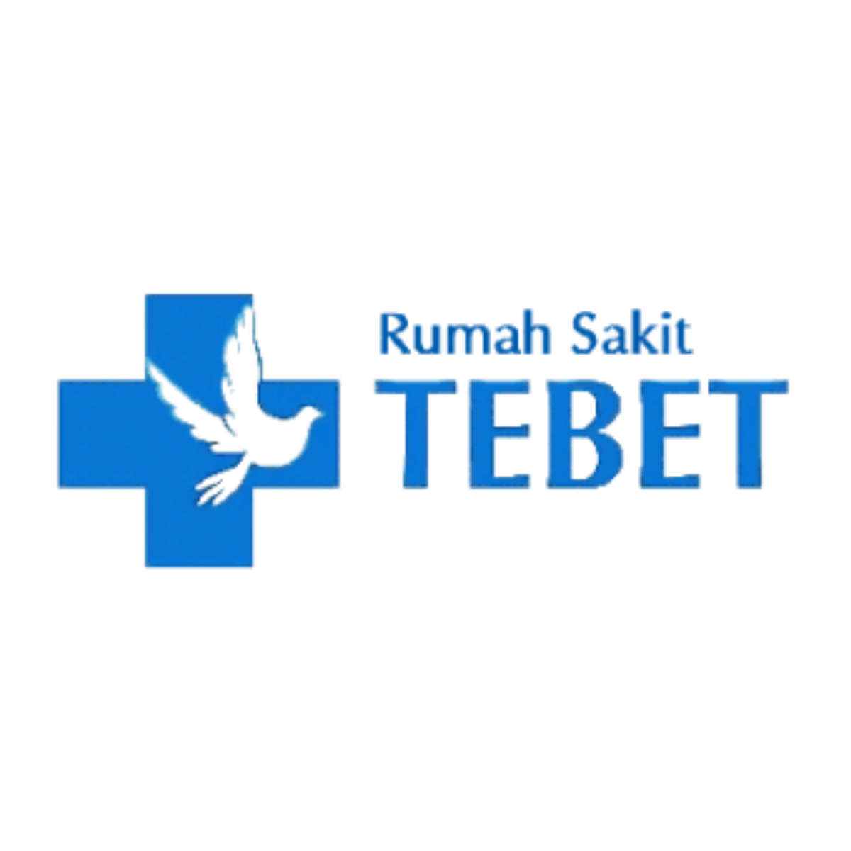 rumah sakit tebet